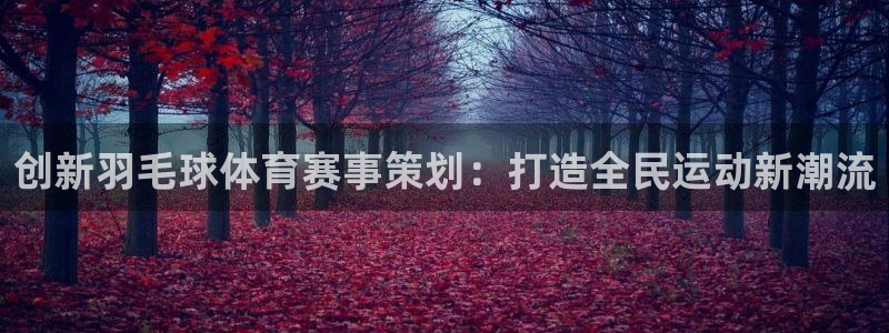 创新羽毛球体育赛事策划：打造全民运动新潮流