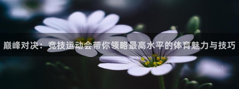 巅峰对决：竞技运动会带你领略最高水平的体育魅力与技巧
