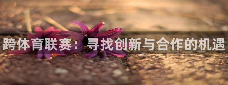 跨体育联赛：寻找创新与合作的机遇