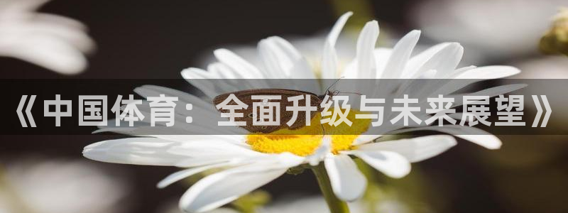 《中国体育：全面升级与未来展望》