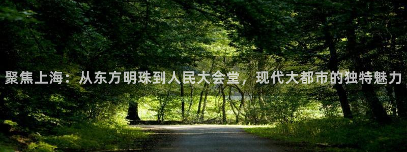 聚焦上海:从东方明珠到人民大会堂,现代大都市的独特魅力
