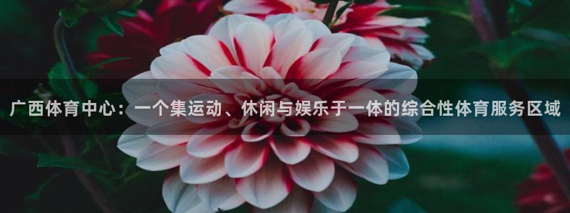广西体育中心：一个集运动、休闲与娱乐于一体的综合性体育服务区域