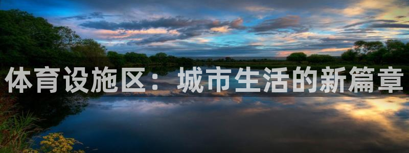 体育设施区：城市生活的新篇章