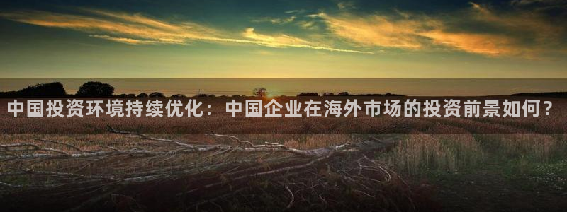 中国投资环境持续优化：中国企业在海外市场的投资前景如何？