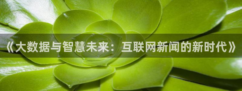 《大数据与智慧未来：互联网新闻的新时代》