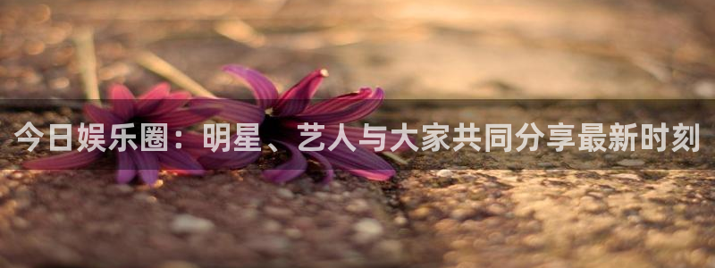 今日娱乐圈：明星、艺人与大家共同分享最新时刻