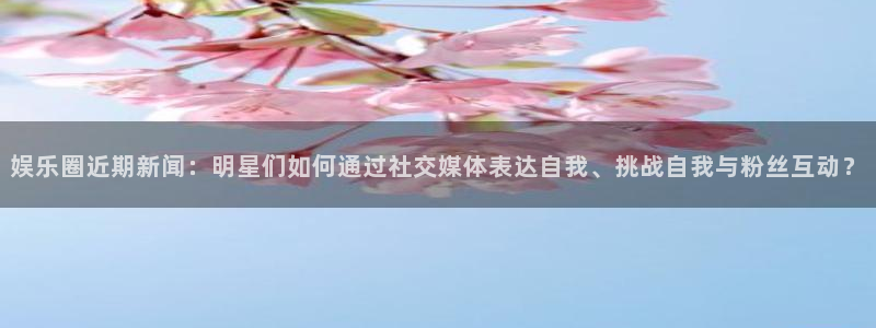 娱乐圈近期新闻：明星们如何通过社交媒体表达自我、挑战自我与粉丝互动？