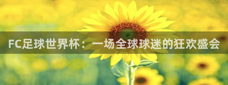 FC足球世界杯：一场全球球迷的狂欢盛会