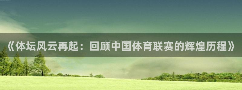 《体坛风云再起：回顾中国体育联赛的辉煌历程》