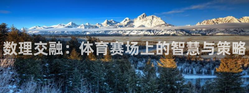 数理交融：体育赛场上的智慧与策略