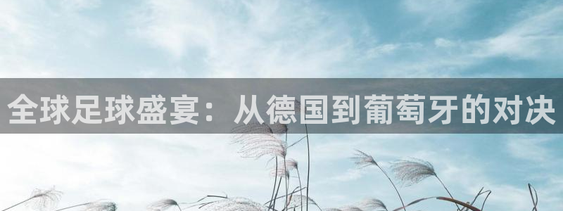 全球足球盛宴：从德国到葡萄牙的对决