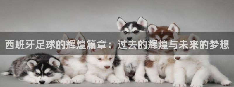 西班牙足球的辉煌篇章：过去的辉煌与未来的梦想