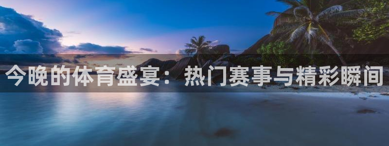 今晚的体育盛宴：热门赛事与精彩瞬间