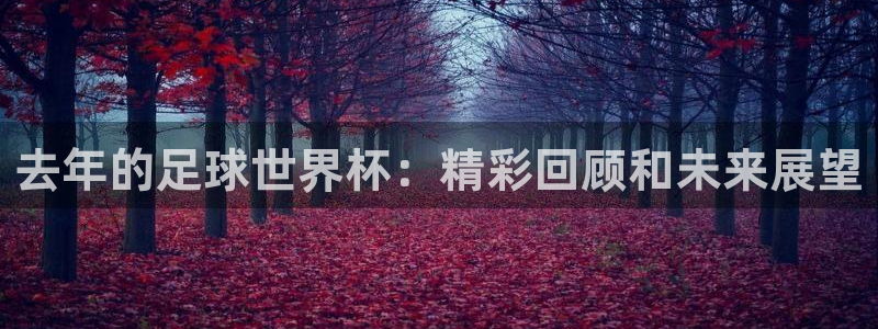 去年的足球世界杯：精彩回顾和未来展望