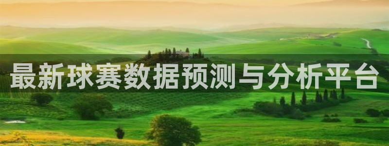 最新球赛数据预测与分析平台