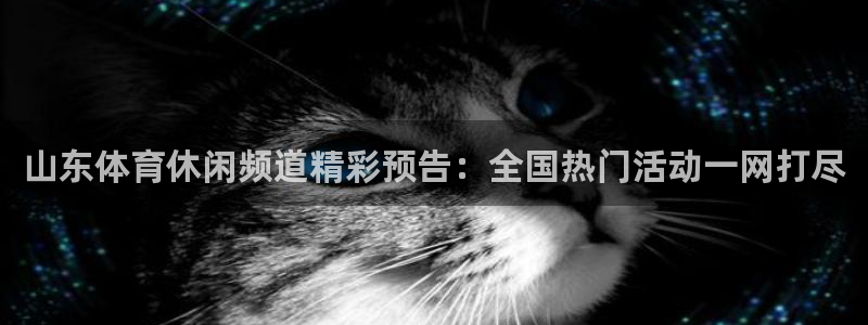 山东体育休闲频道精彩预告：全国热门活动一网打尽