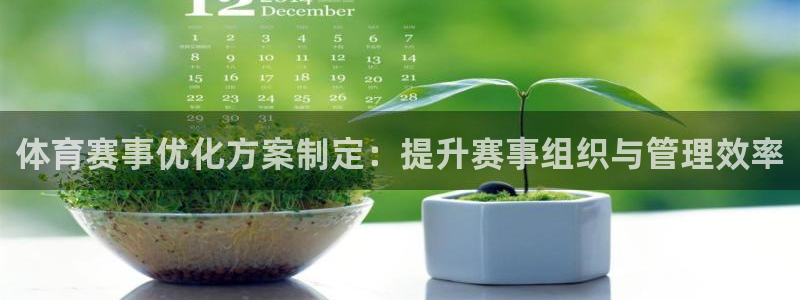 体育赛事优化方案制定：提升赛事组织与管理效率