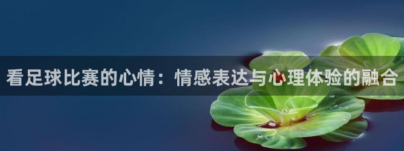看足球比赛的心情：情感表达与心理体验的融合
