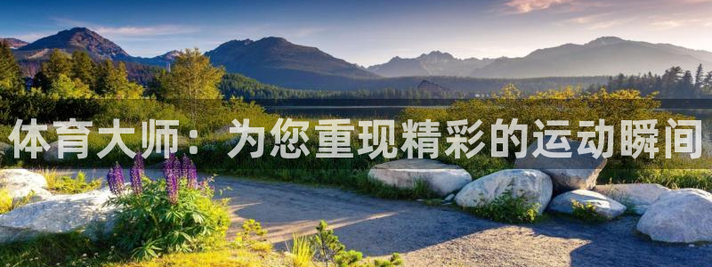 体育大师：为您重现精彩的运动瞬间