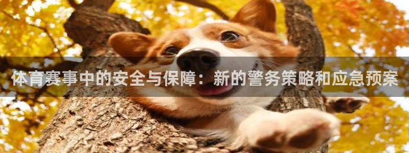 体育赛事中的安全与保障：新的警务策略和应急预案