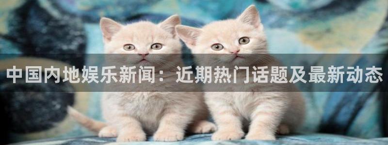 中国内地娱乐新闻：近期热门话题及最新动态