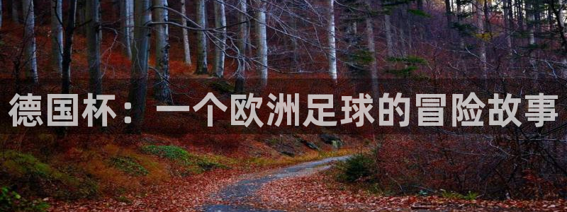 德国杯：一个欧洲足球的冒险故事