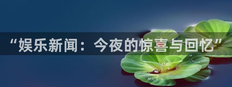 “娱乐新闻：今夜的惊喜与回忆”