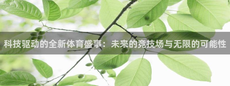 科技驱动的全新体育盛事：未来的竞技场与无限的可能性
