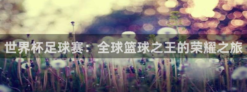 世界杯足球赛：全球篮球之王的荣耀之旅