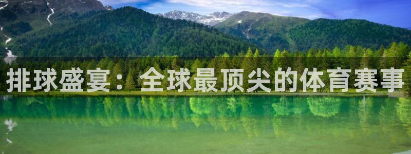 排球盛宴：全球最顶尖的体育赛事