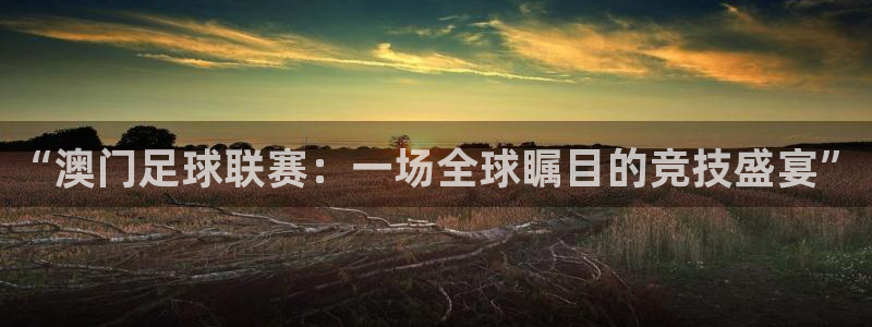 “澳门足球联赛：一场全球瞩目的竞技盛宴”