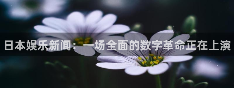 日本娱乐新闻：一场全面的数字革命正在上演