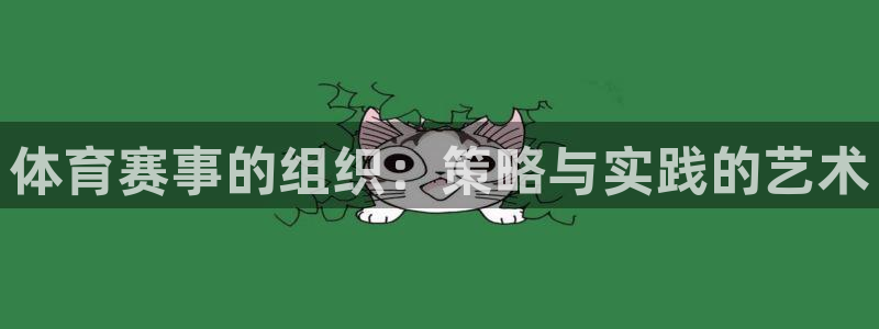 体育赛事的组织：策略与实践的艺术
