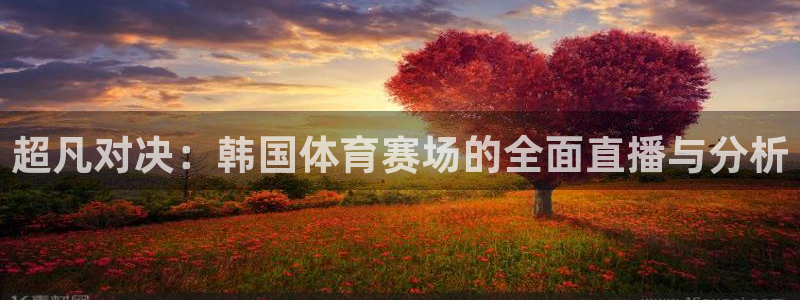 超凡对决：韩国体育赛场的全面直播与分析