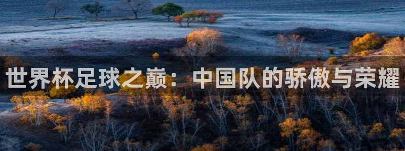 世界杯足球之巅：中国队的骄傲与荣耀