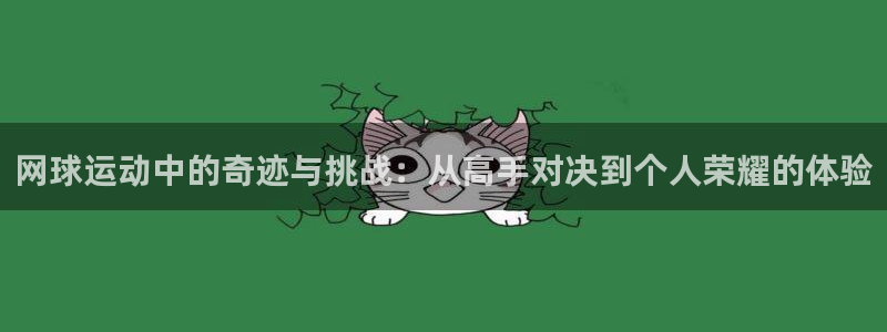 网球运动中的奇迹与挑战：从高手对决到个人荣耀的体验
