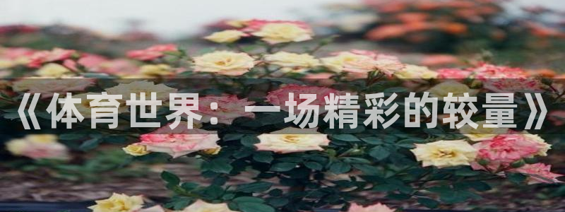 《体育世界：一场精彩的较量》