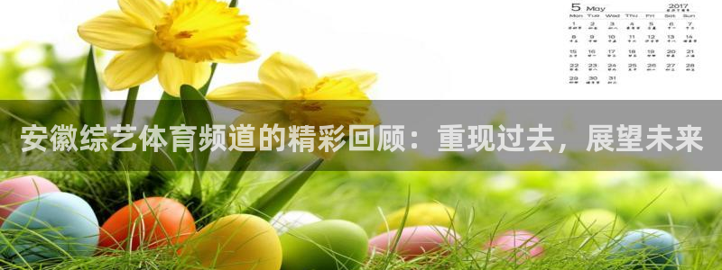 安徽综艺体育频道的精彩回顾：重现过去，展望未来