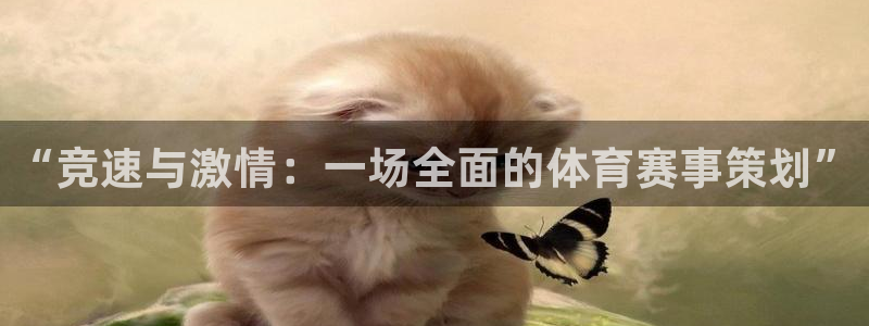 “竞速与激情：一场全面的体育赛事策划”
