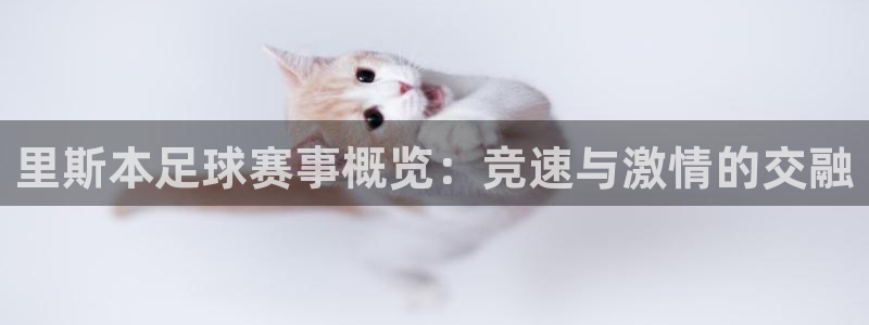 里斯本足球赛事概览：竞速与激情的交融