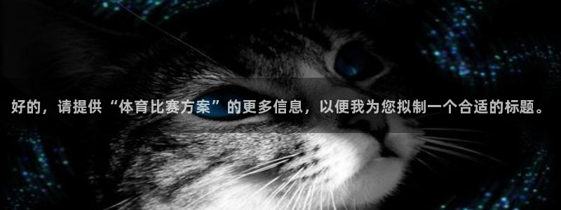 好的,请提供“体育比赛方案”的更多信息,以便我为您拟制一个合适的标题。