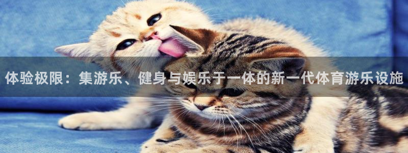 体验极限:集游乐、健身与娱乐于一体的新一代体育游乐设施