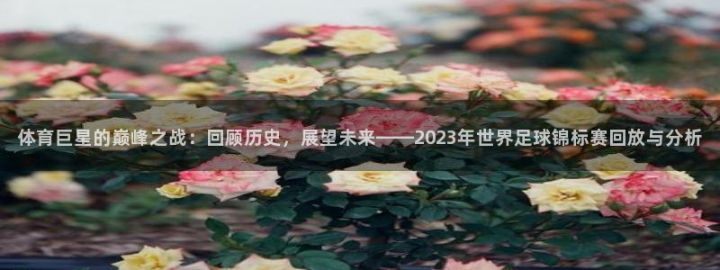 体育巨星的巅峰之战：回顾历史，展望未来——2023年世界足球锦标赛回放与分析