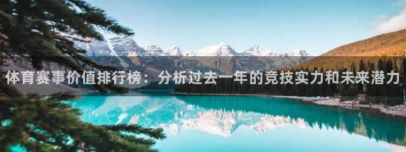 体育赛事价值排行榜：分析过去一年的竞技实力和未来潜力