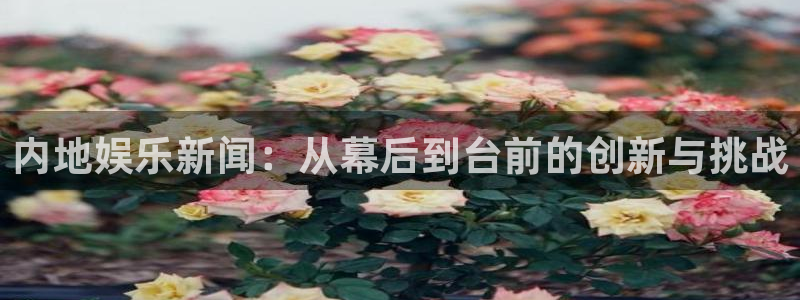 内地娱乐新闻：从幕后到台前的创新与挑战