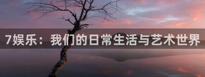 7娱乐：我们的日常生活与艺术世界