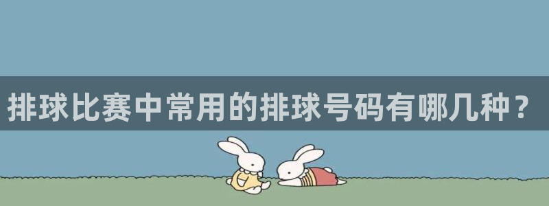 排球比赛中常用的排球号码有哪几种？