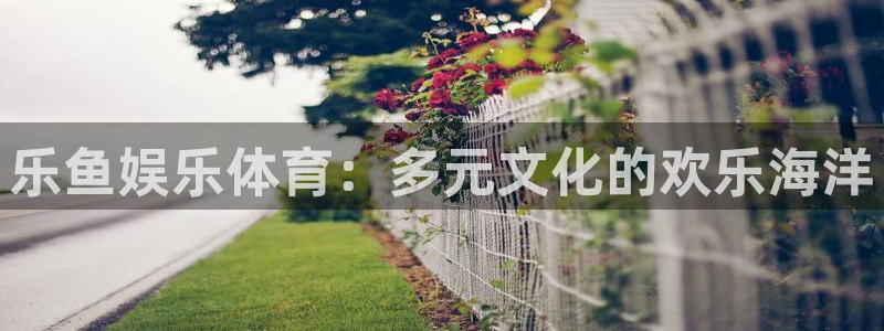 乐鱼娱乐体育：多元文化的欢乐海洋