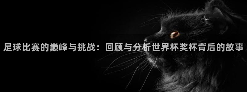 足球比赛的巅峰与挑战：回顾与分析世界杯奖杯背后的故事